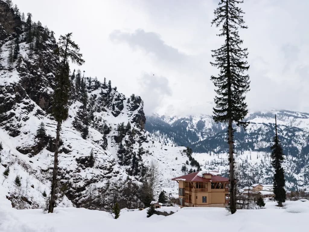 Kashmir Honeymoon Tour – 5 Nights / 6 Days thumbnail 6