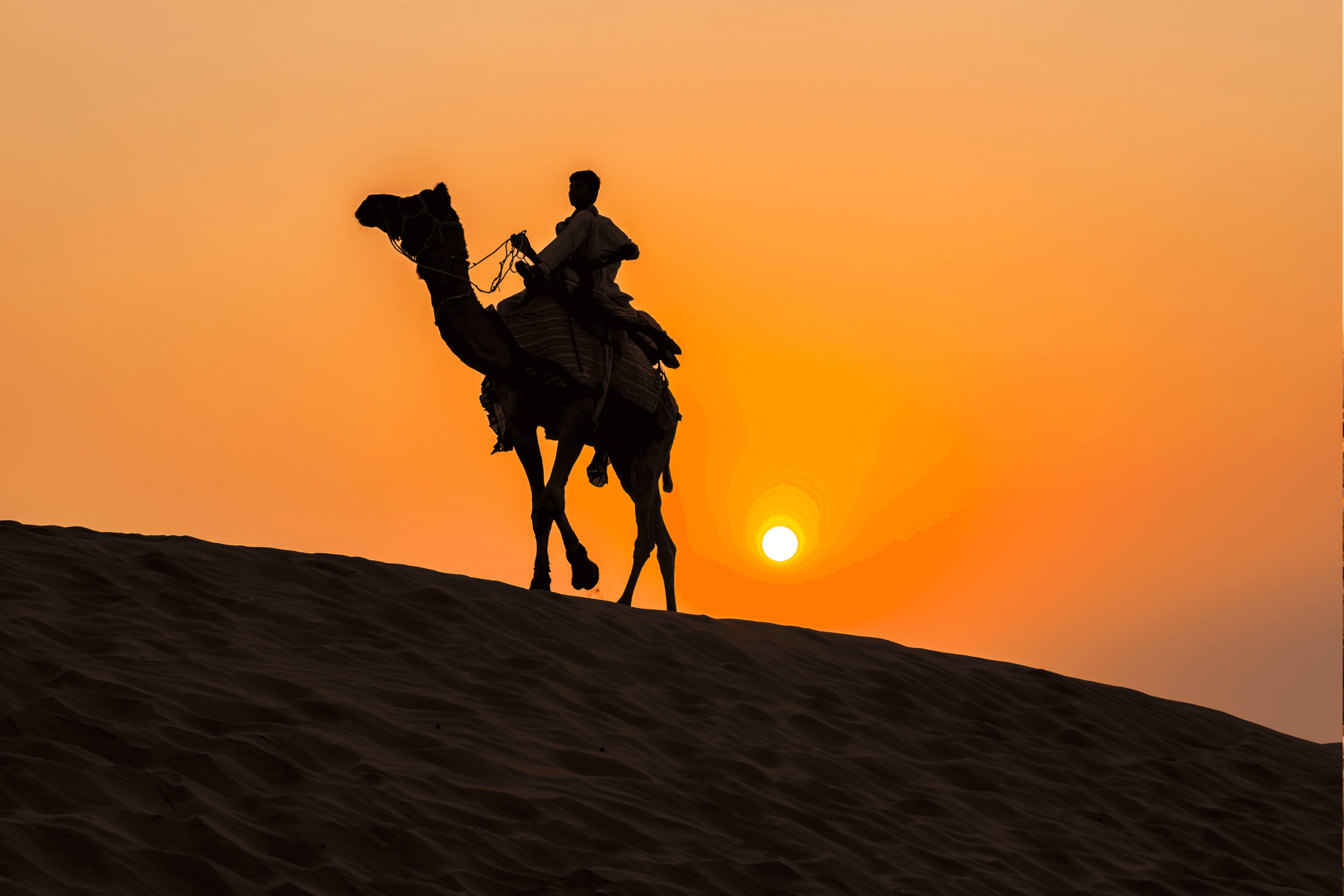 Jaisalmer Fort golden walls