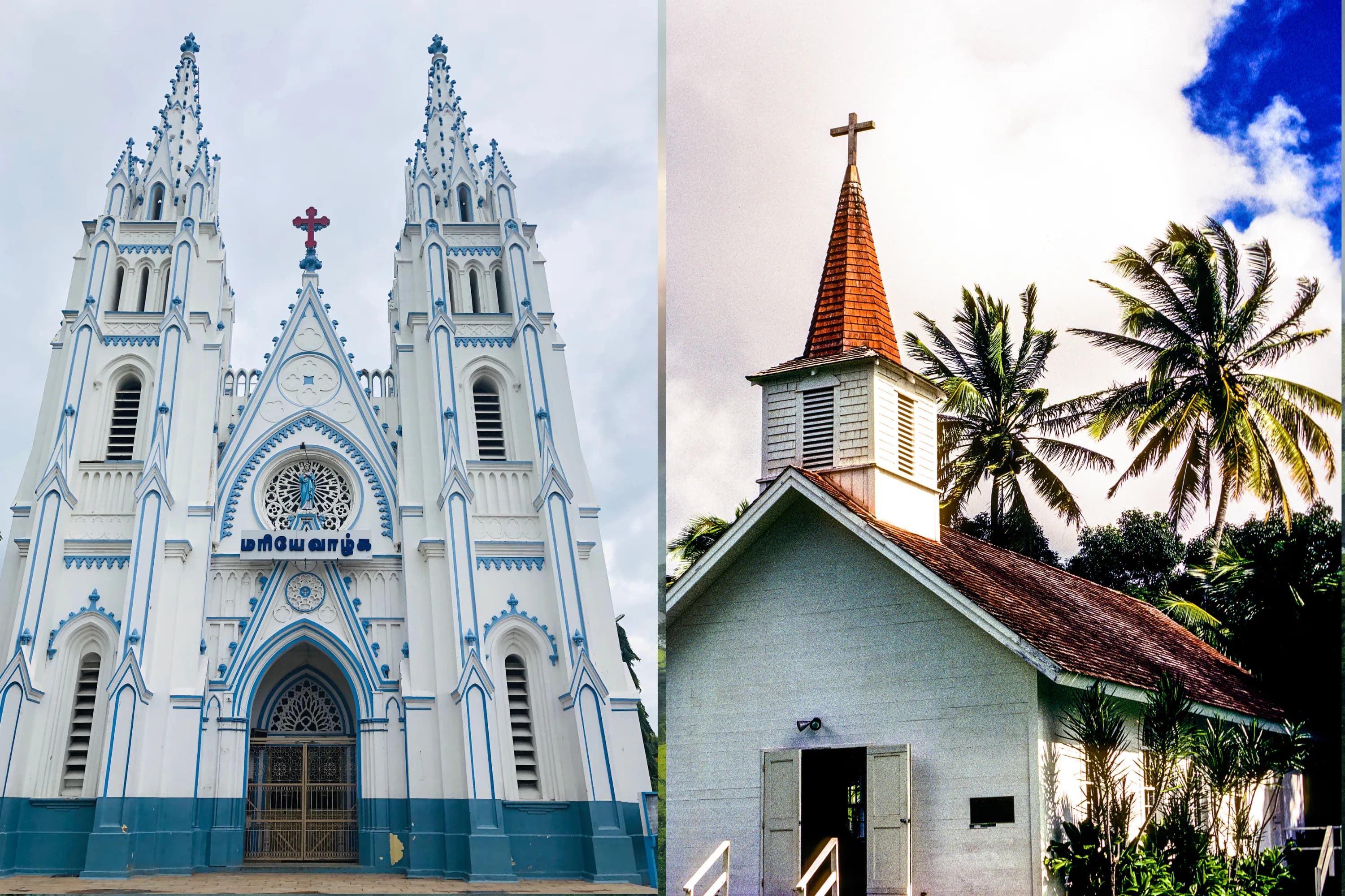 Munnar Thekkady Alleppey 5 Days thumbnail 13