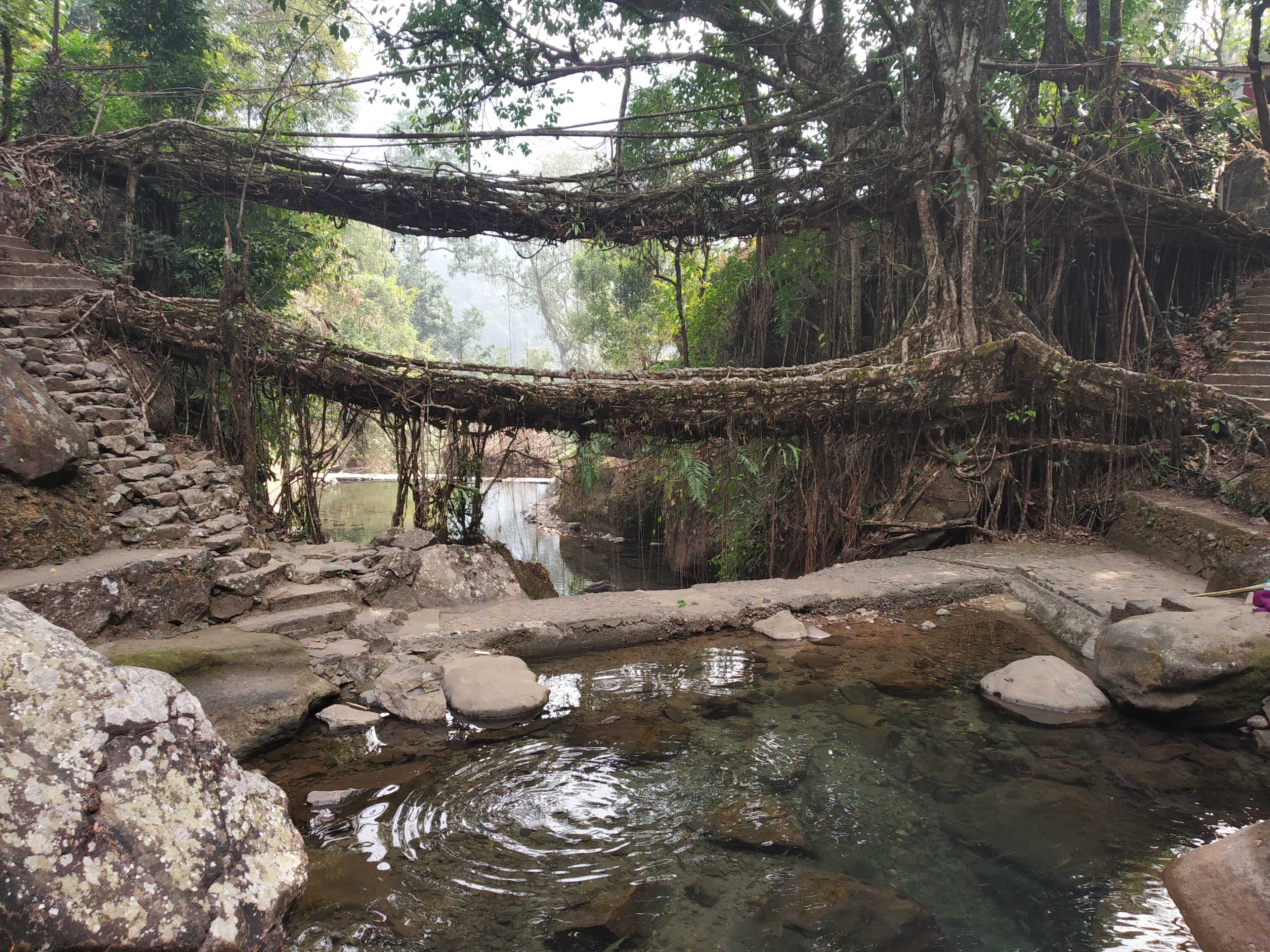 North East India: Living Roots, Wild Rhinos & Mountain Kingdoms