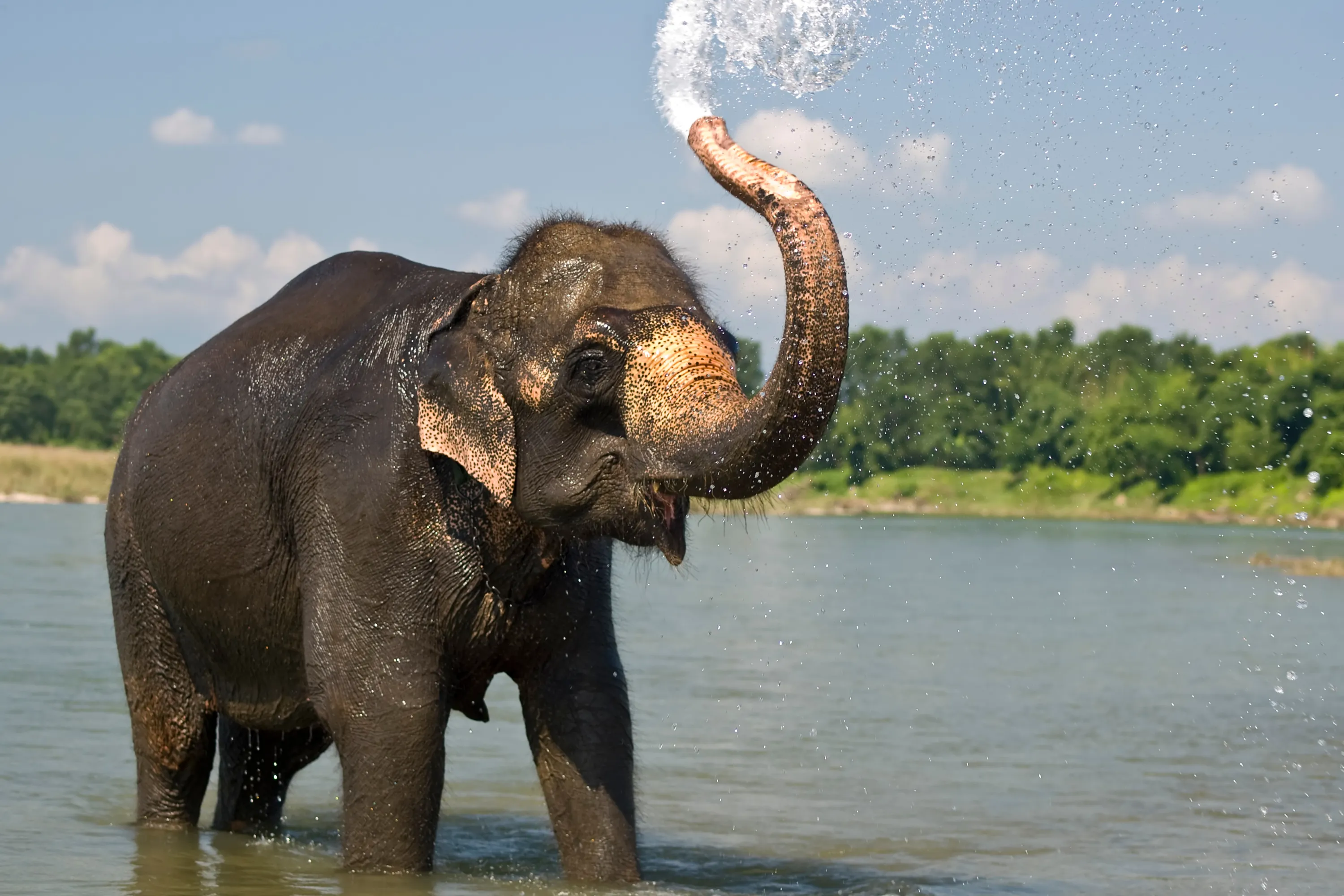 Munnar Thekkady Alleppey 5 Days - Luxury Tours India - Image 1