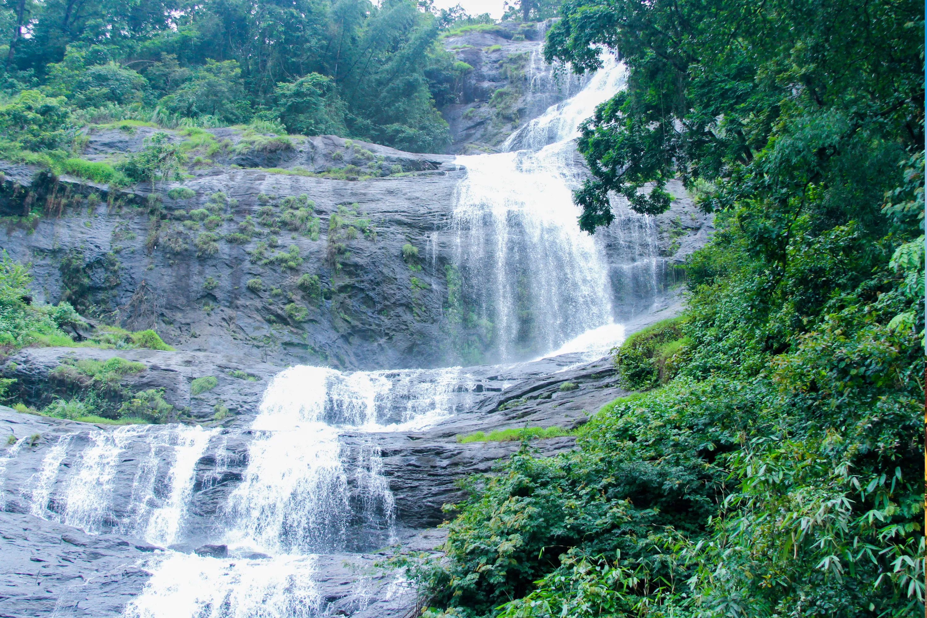 Munnar Thekkady Alleppey 5 Days - Luxury Tours India - Image 11