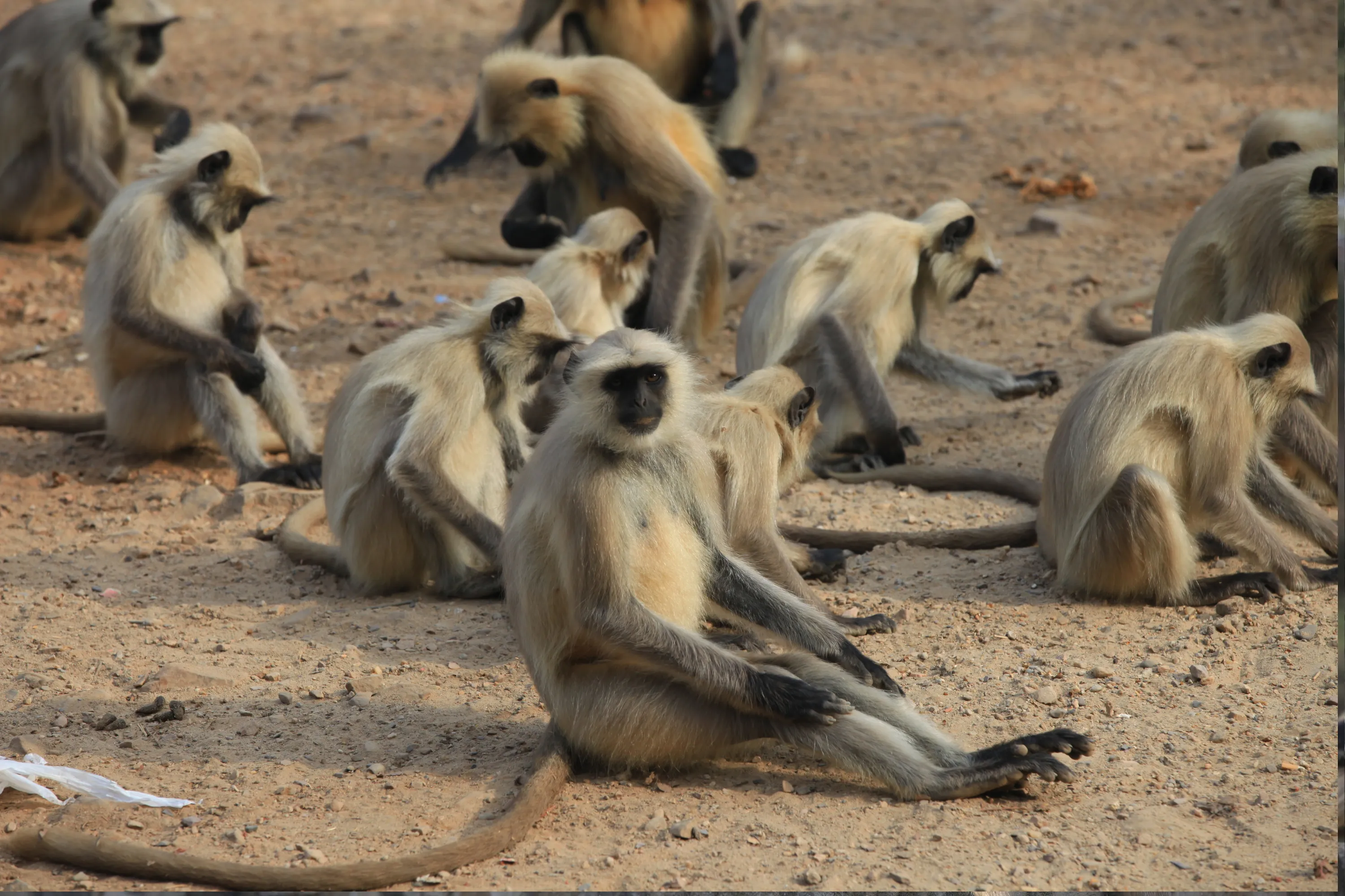 North East India Tour - Meghalaya & Assam - Luxury Tours India - Image 9