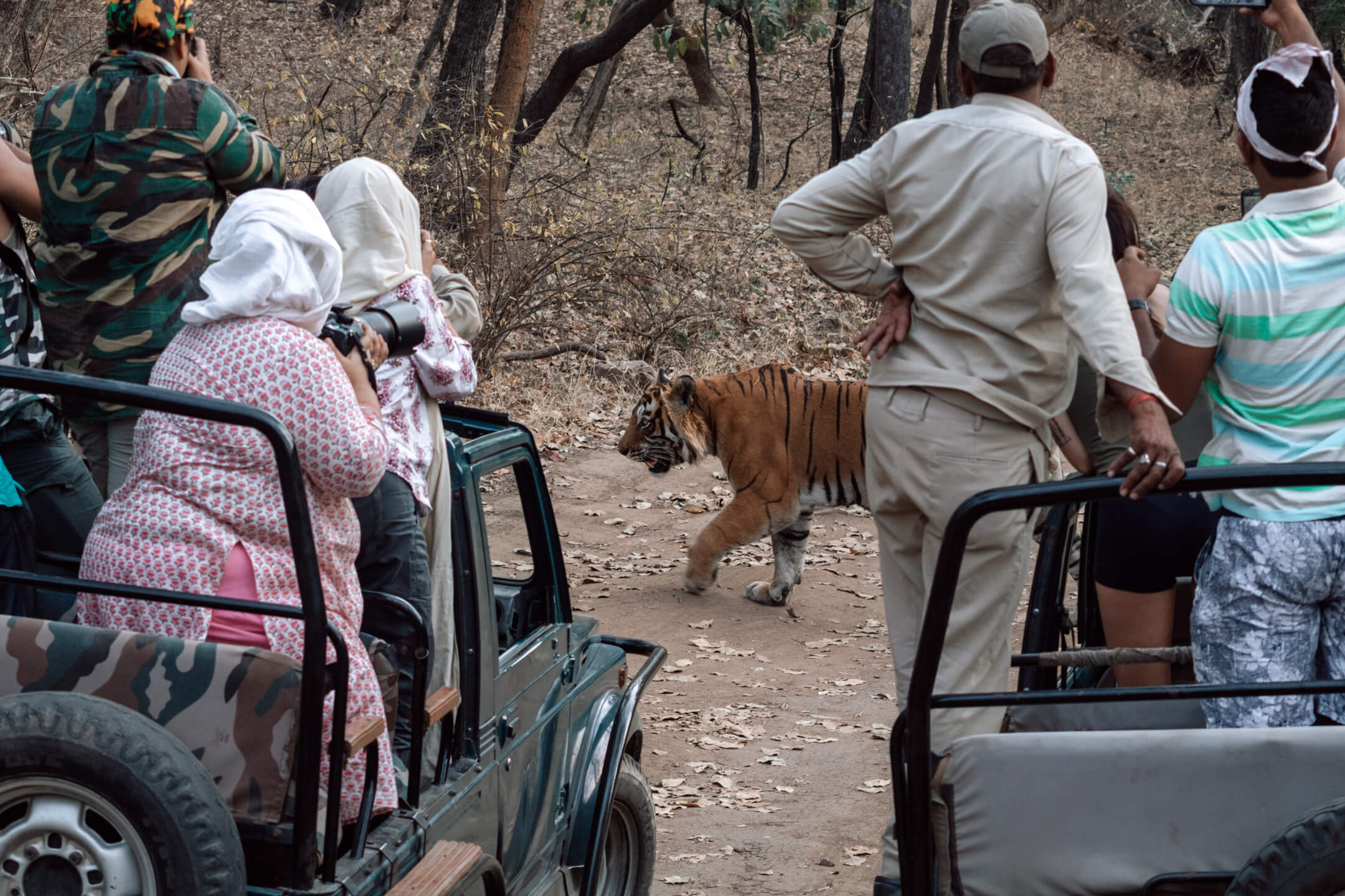 Day Trip from Jaipur to Ranthambore - Luxury Tours India - Image 2
