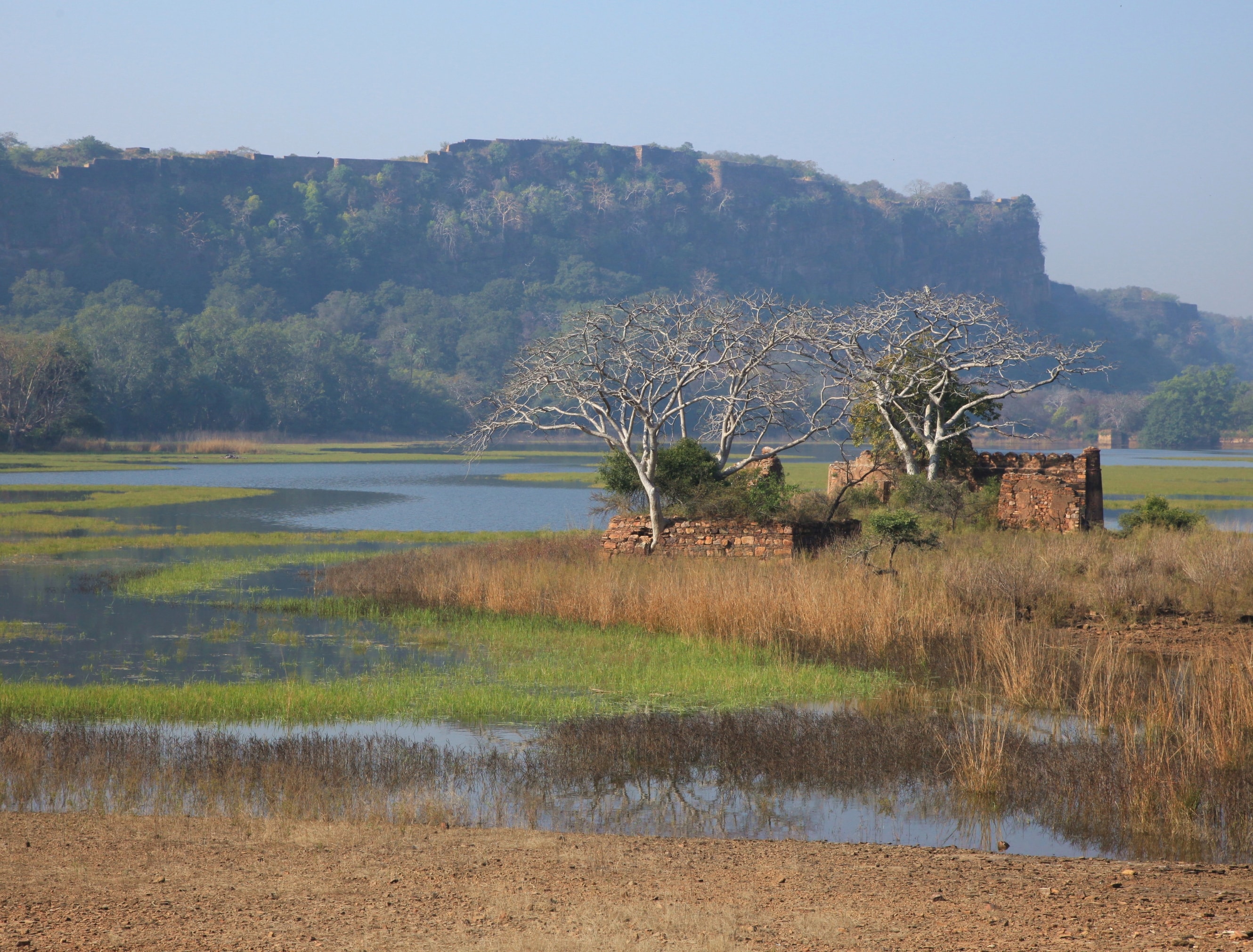 Bharatpur Wildlife Tour 2Days - Luxury Tours India - Image 1