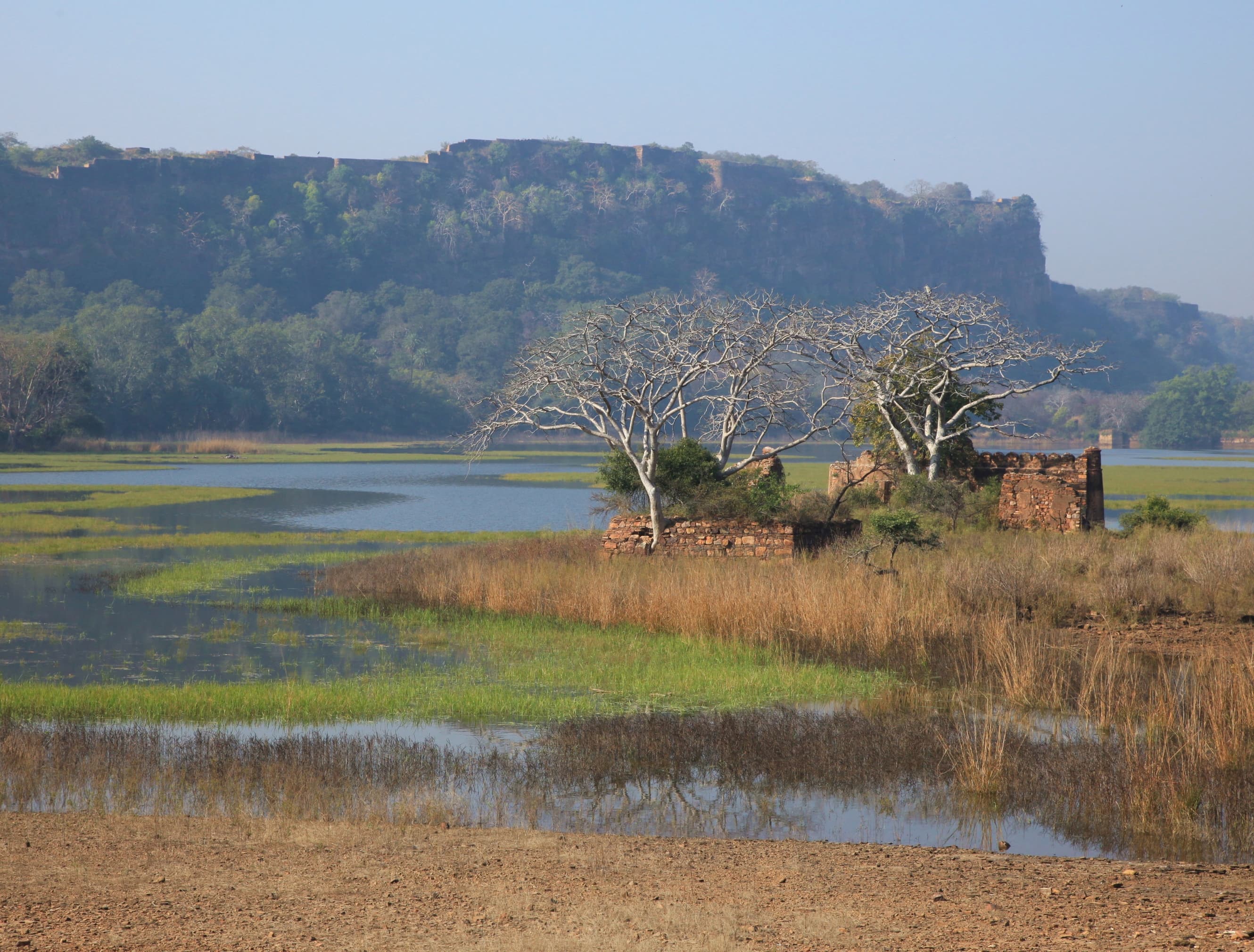 Delhi, Agra, Jaipur Tour with Tiger Safari 4Days